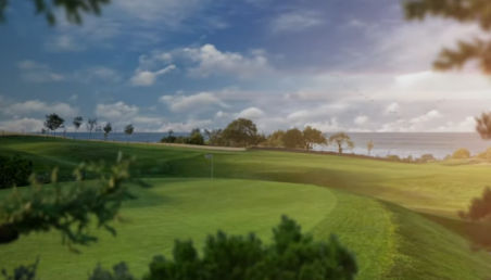 Tropical Paradise Executive